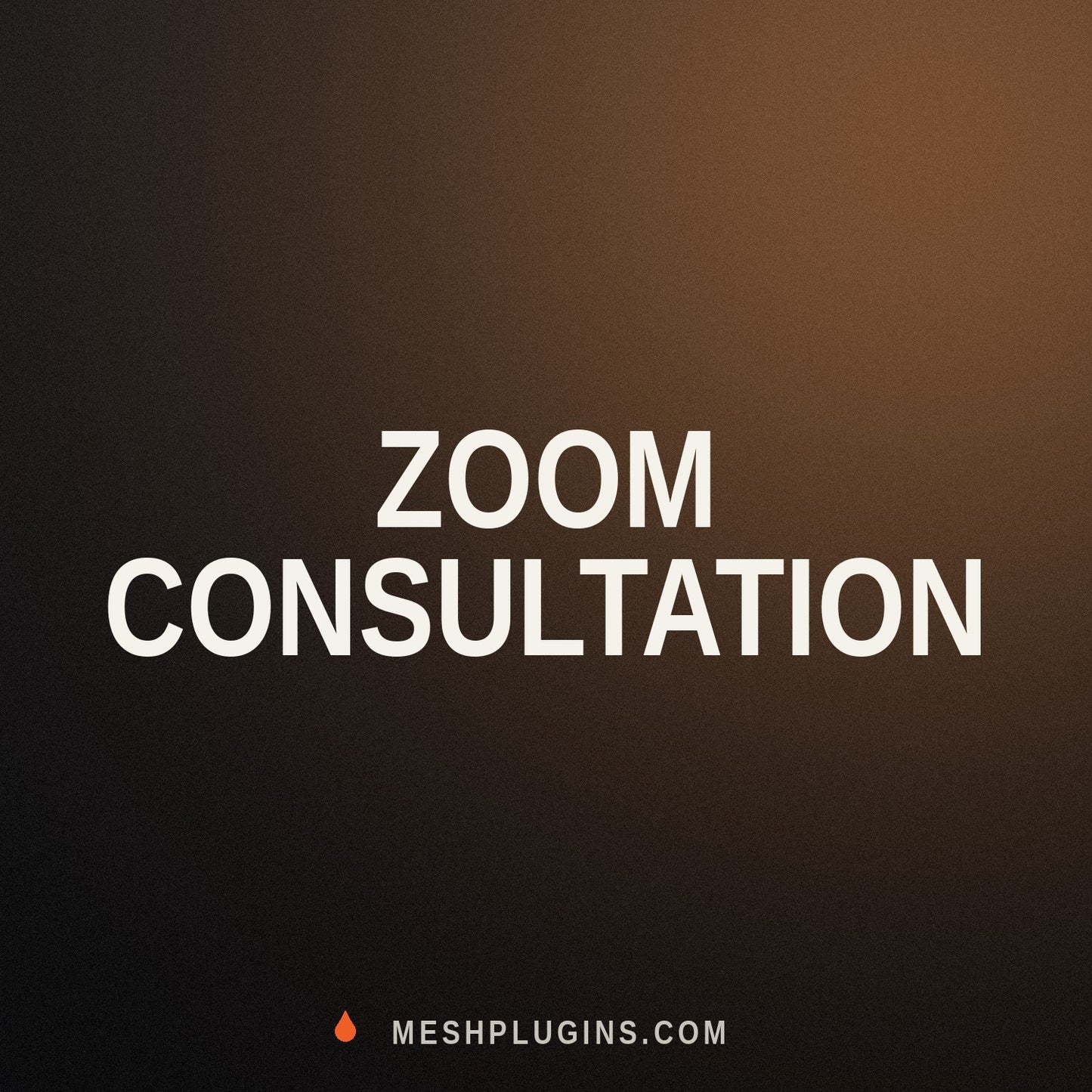Zoom consultation — MeshPlugins